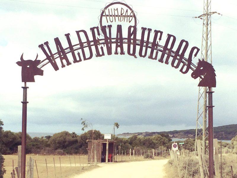 Tumbao Beach Bar, DJ Set in summer Time