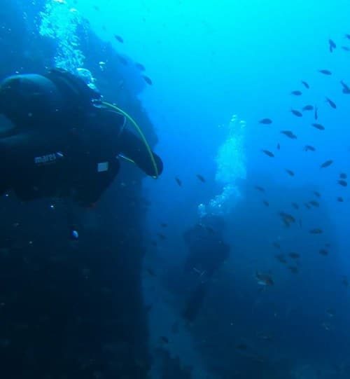 Plongée sous marine à Tarifa ou excursion en snorkeling