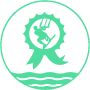 Kitesurfing School certified IKO