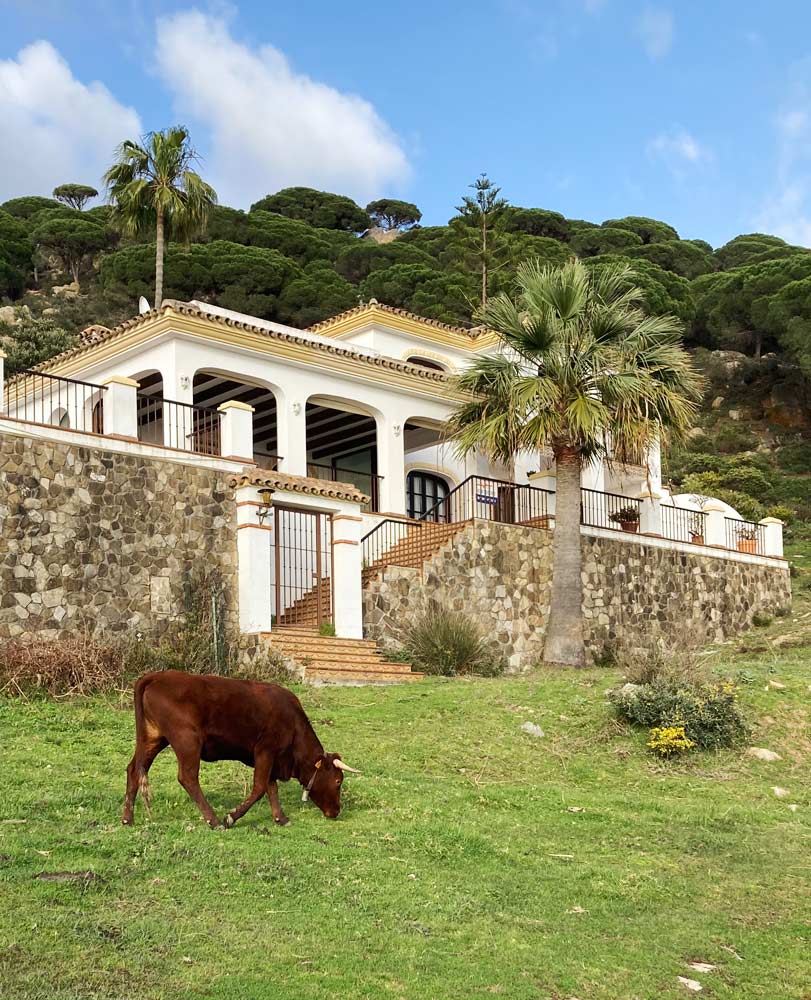 Retraite Yoga dans les parcs naturels de Tarifa